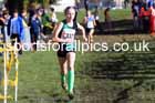 Girls under-15s, 2024 Northern Cross Country Relays, Graves Park, Sheffield.   Photo: David T. Hewitson/Sports for All Pics